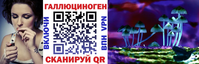 Галлюциногенные грибы Magic Shrooms blacksprut зеркало Нальчик